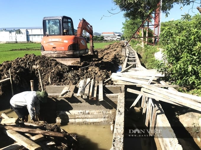 Doanh nghiệp trực thuộc UBND tỉnh Bình Định có đến 382 người: PCT tỉnh chỉ đạo "tinh gọn bộ máy"- Ảnh 1.