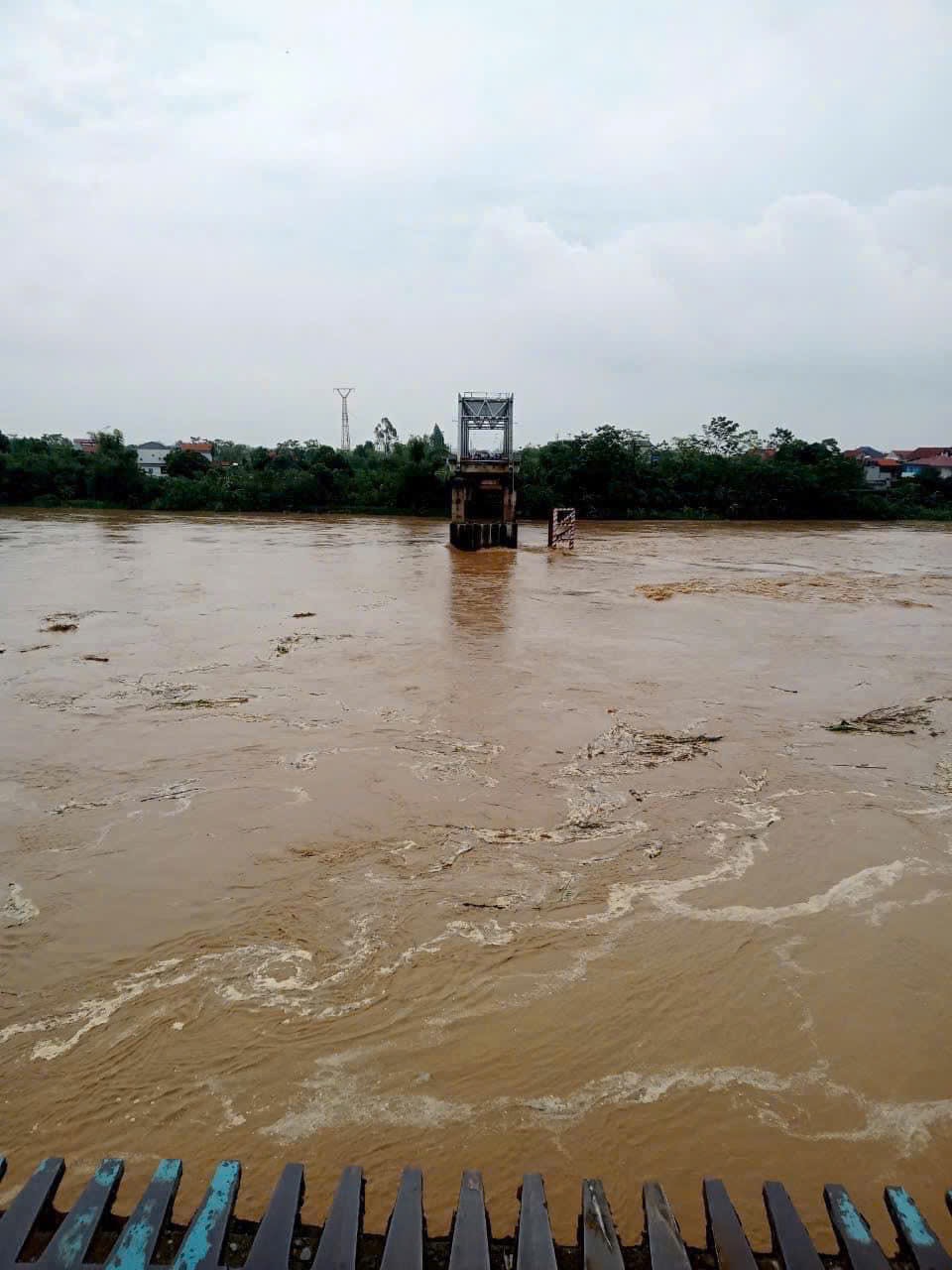 Sập cầu Phong Châu ở Phú Thọ- Ảnh 3.