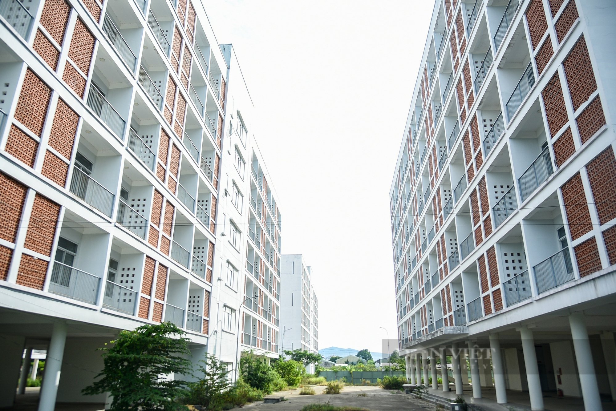 Toàn cảnh ký túc xá 700 tỷ bỏ hoang ở Đà Nẵng sắp được chuyển thành nhà ở xã hội  - Ảnh 15.