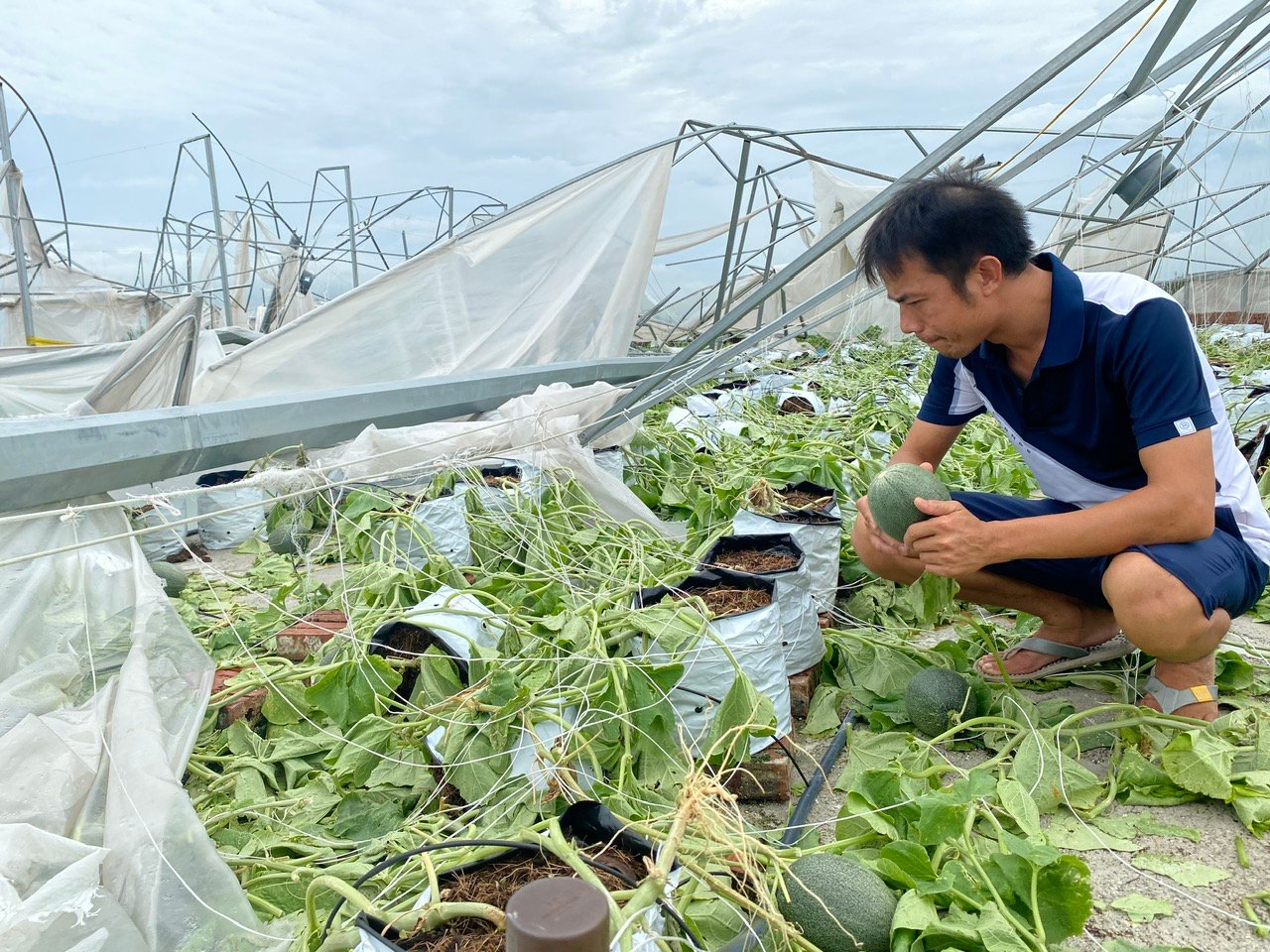 Bắc Ninh hỗ trợ 100% lãi suất vay từ Quỹ hỗ trợ nông dân với hộ thiệt hại trên 50 triệu đồng do bão Yagi - Ảnh 1.