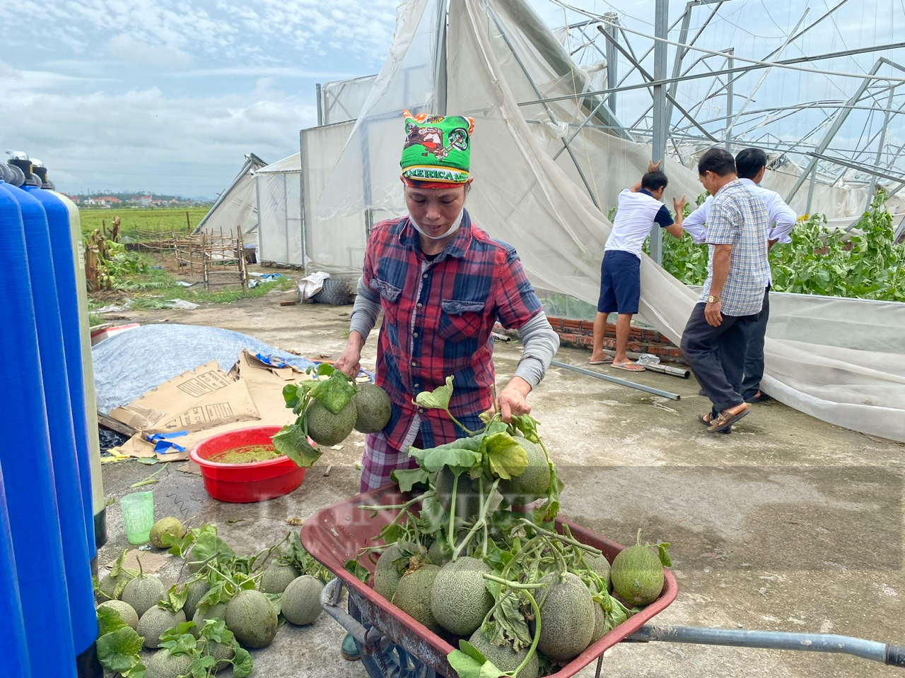 Nhà màng, nhà lưới, bãi chuối… tan hoang sau bão, nông dân ở Bắc Ninh bị thiệt hại tiền tỷ - Ảnh 2.