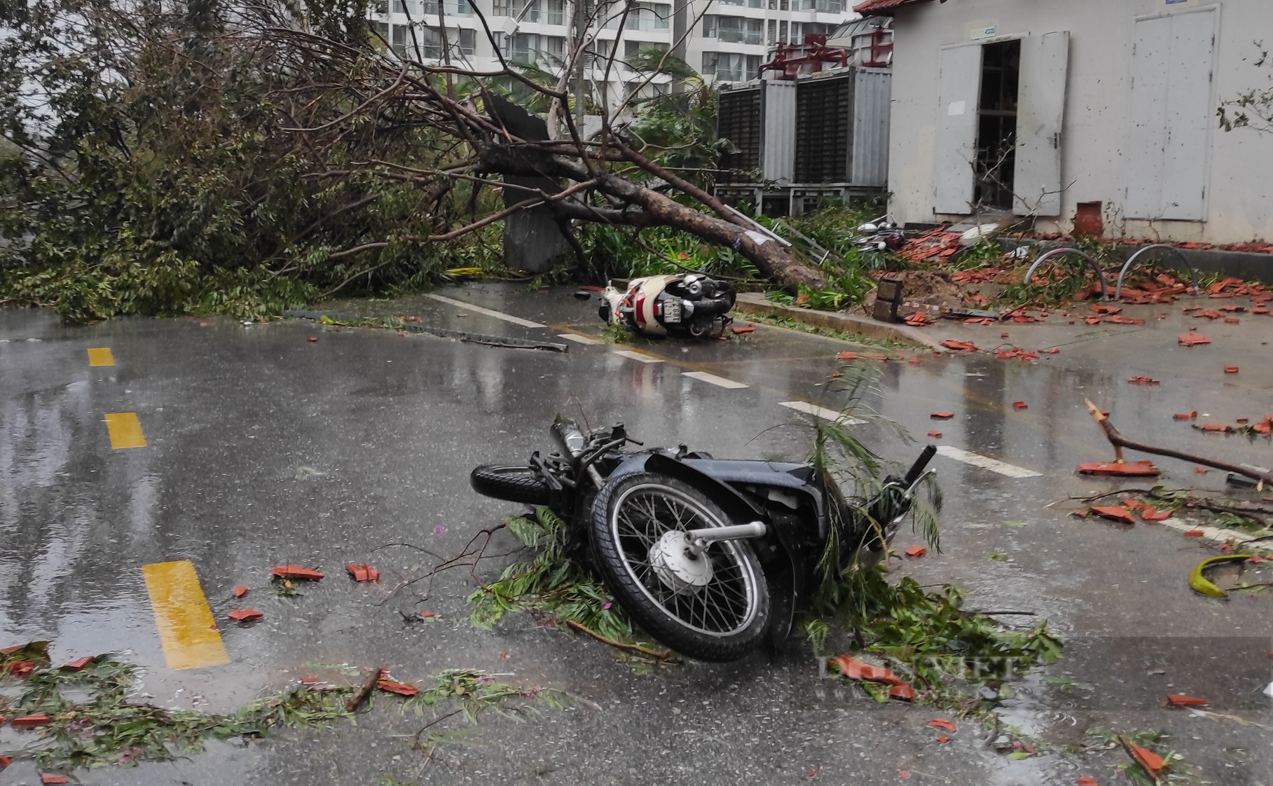 Toàn cảnh một khu đô thị ở Quảng Ninh tan hoang, xe máy và ôtô ngổn ngang trên đường- Ảnh 12.