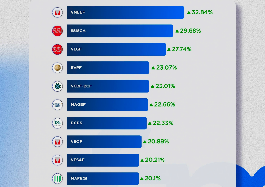 VN-Index phục hồi hơn 13% sau 8 tháng đầu năm, các quỹ mở lợi nhuận ra sao? - Ảnh 1.