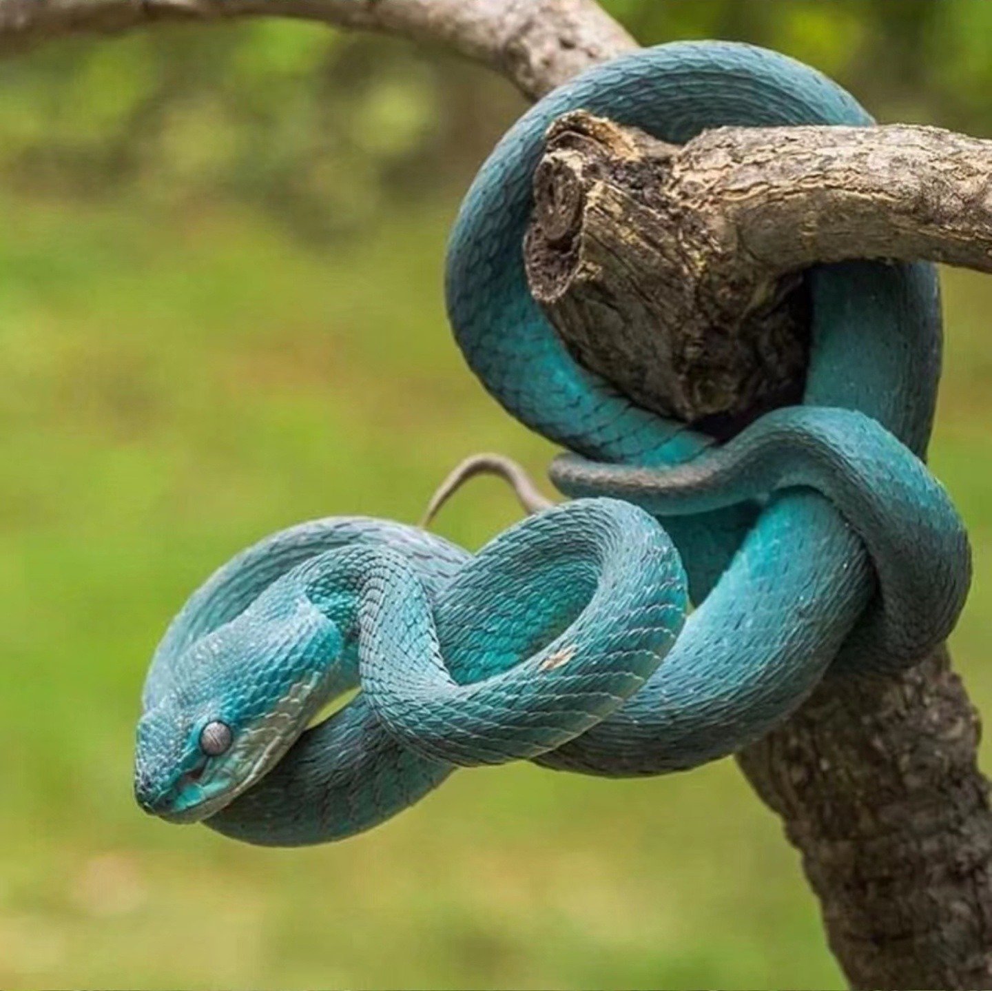 Người xưa nói: "6 điềm lành đến cửa, gia đình đón tin vui, tiền bạc đổ về, phước lành đang tới" - Ảnh 2.