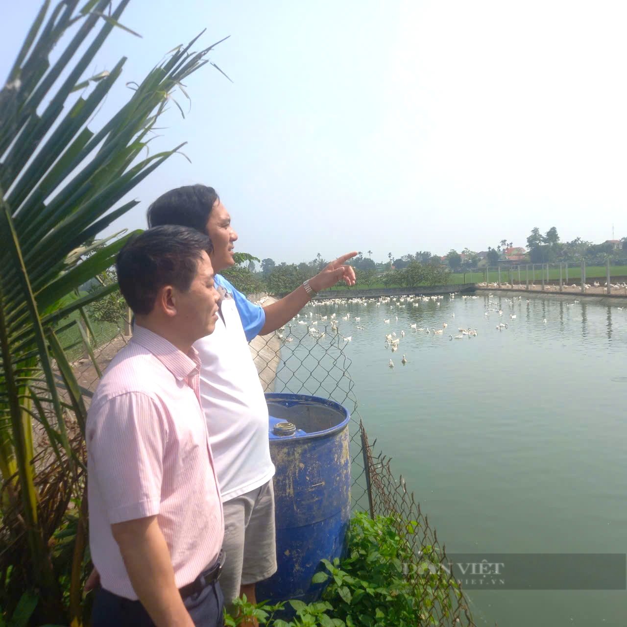 Nghệ An: Từ anh chàng chăn vịt chạy đồng, thành thương hiệu “vịt Nam Giang” nổi tiếng cả nước - Ảnh 1.
