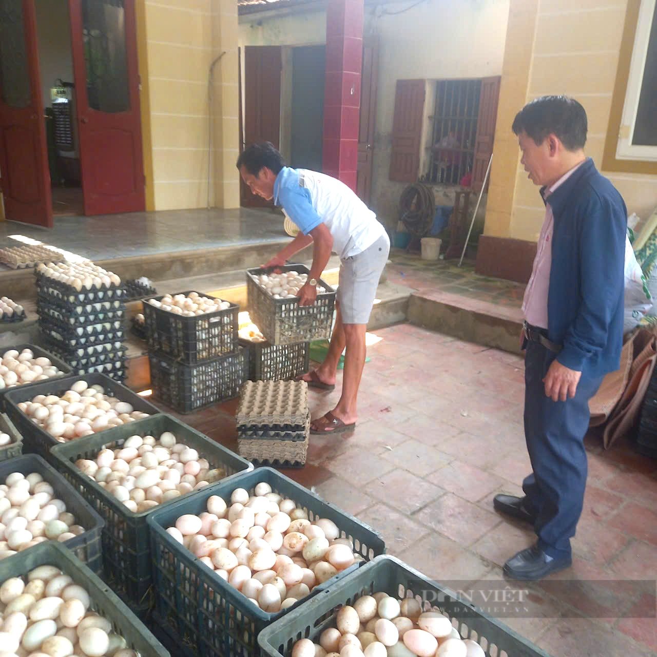 Nghệ An: Từ anh chàng chăn vịt chạy đồng, thành thương hiệu “vịt Nam Giang” nổi tiếng cả nước - Ảnh 6.