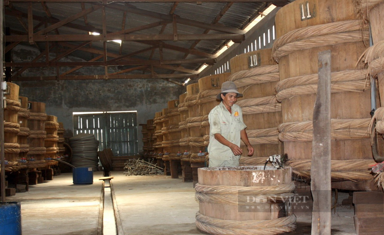 Nước mắm cá cơm, trái thanh long sản phẩm chất lượng đạt OCOP 4 sao ở Bình Thuận - Ảnh 8.