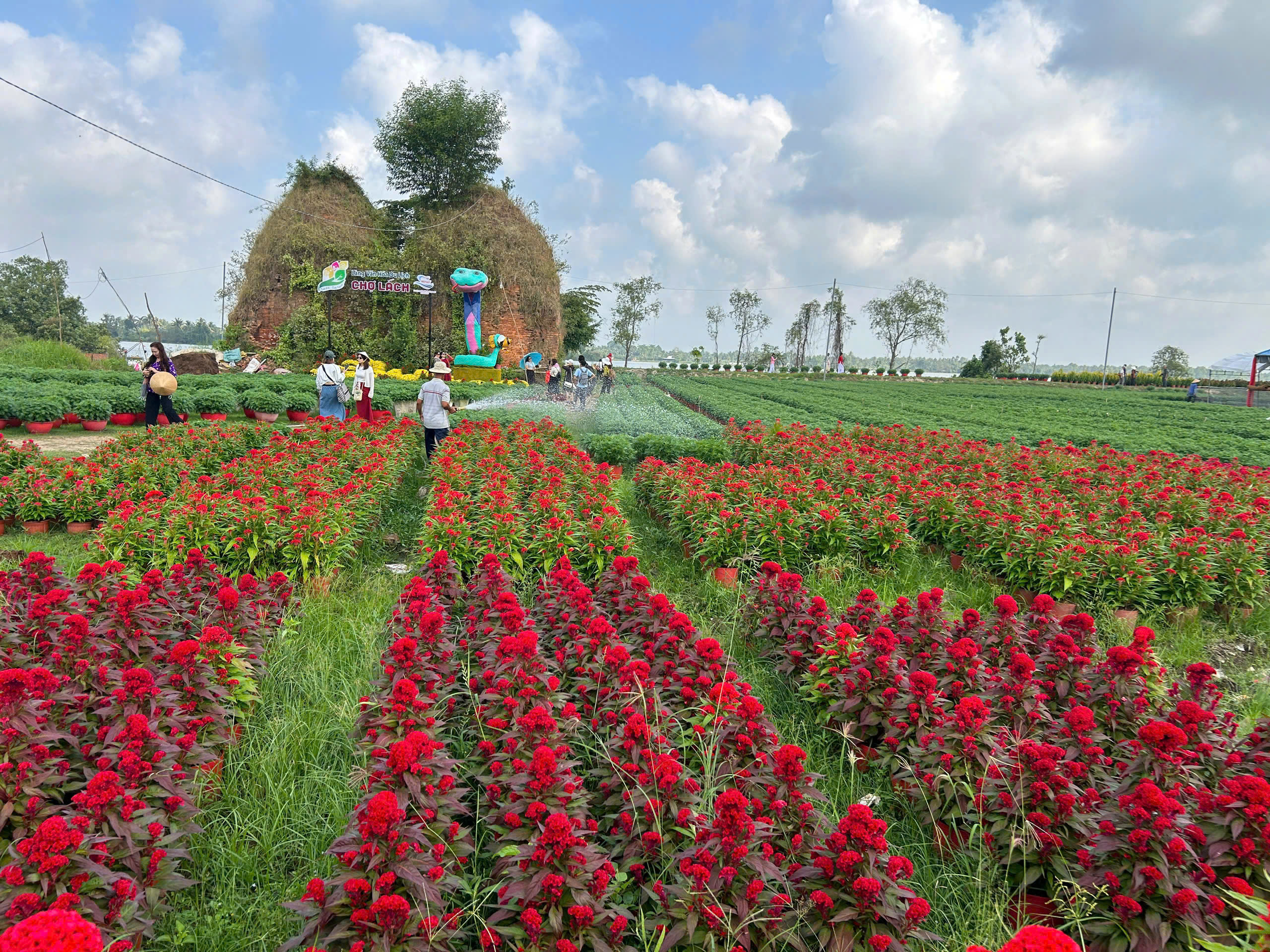 Agribank Chi nhánh tỉnh Bến Tre đồng hành cùng Lễ hội Hoa – Kiểng Chợ Lách năm 2025- Ảnh 3.