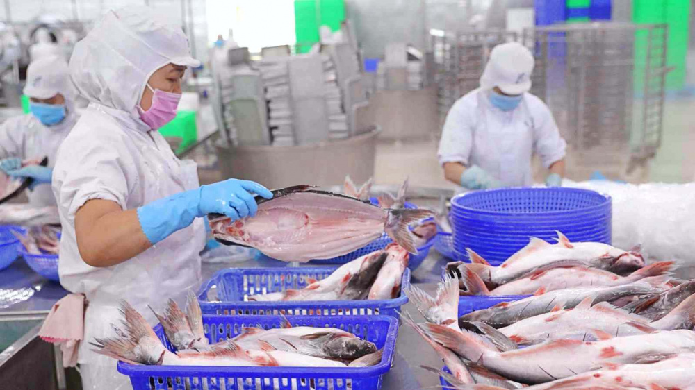 Hiện thực hóa mục tiêu xuất khẩu nông sản 100 tỷ USD: Dấu ấn những mặt hàng thuộc “câu lạc bộ tỷ đô” (Bài 2) - Ảnh 3.