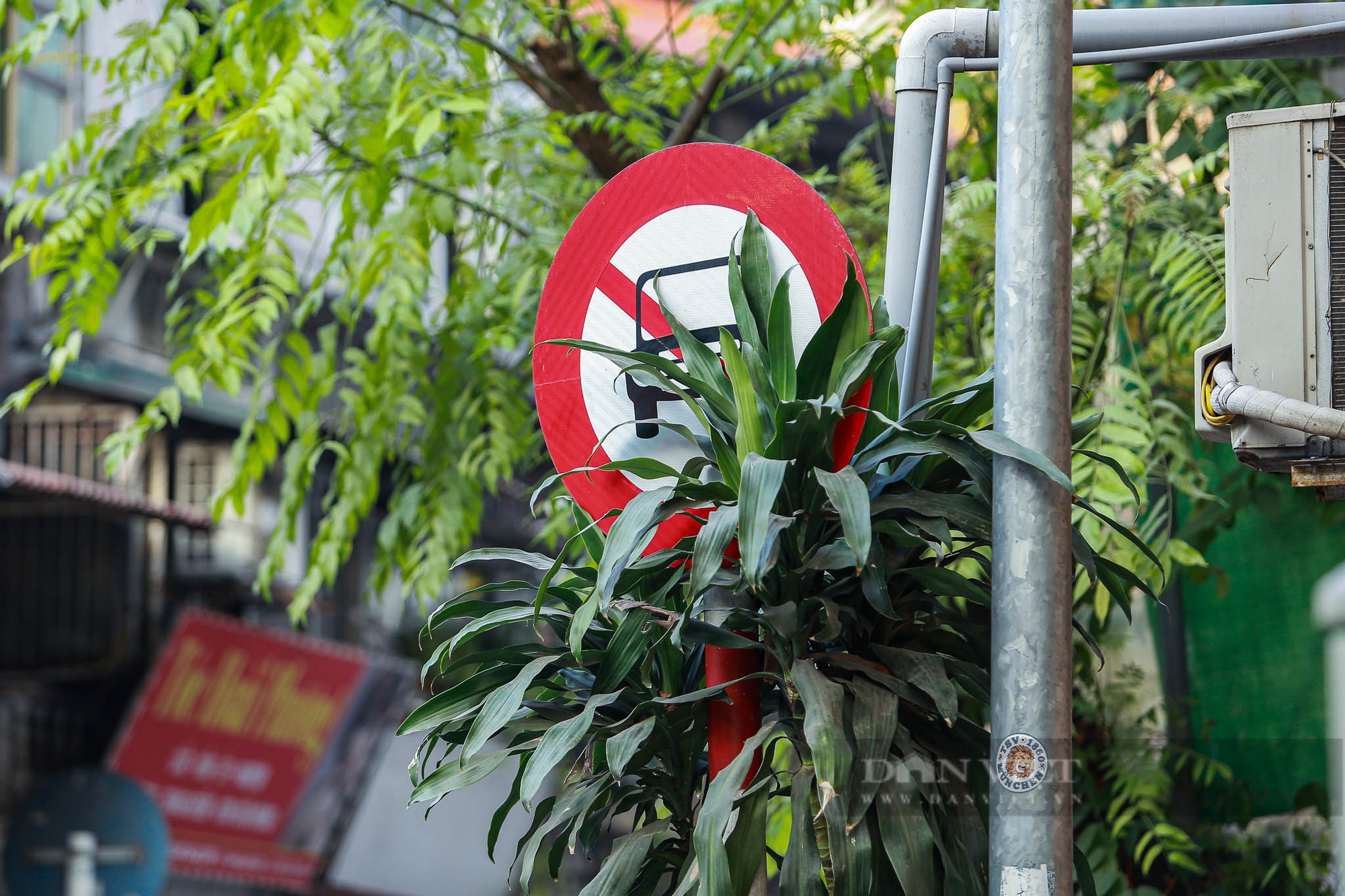 Nhiều biển báo, đèn giao thông ở Hà Nội bị che khuất, gây khó khăn cho người tham gia giao thông - Ảnh 19.