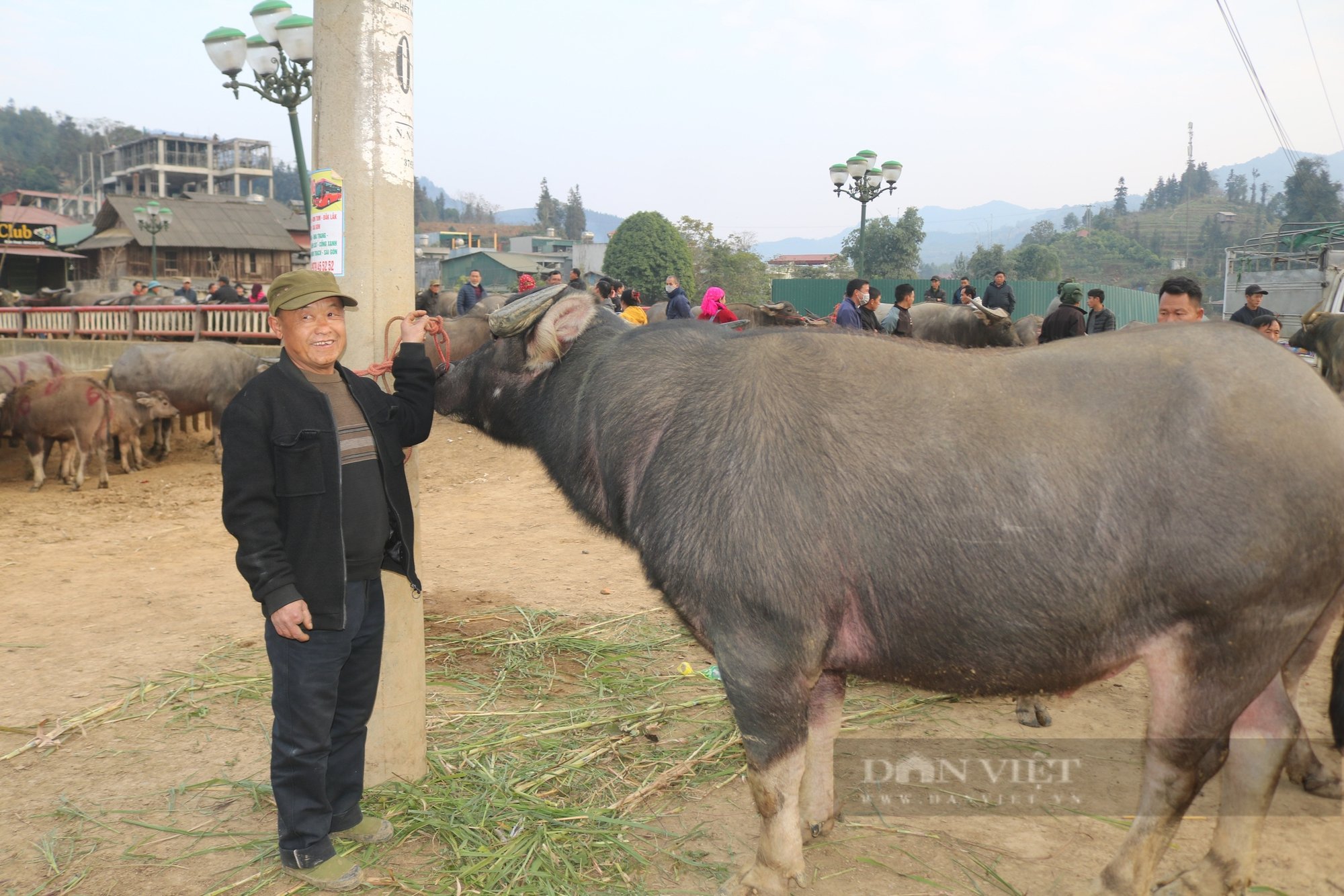 Chợ gia súc Bắc Hà "sàn giao dịch gia súc" có từ lâu đời của người dân vùng cao - Ảnh 3.