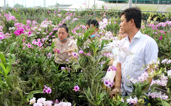 TP.HCM chưa thể ban hành chính sách khuyến khích chuyển dịch cơ cấu nông nghiệp đô thị - Ảnh 1.