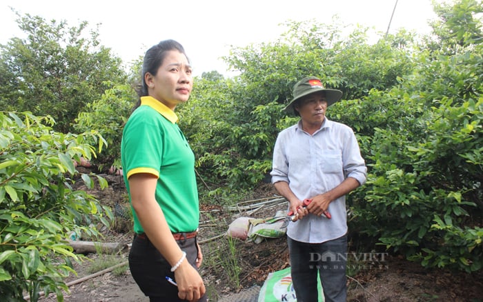 TP.HCM chưa thể ban hành chính sách khuyến khích chuyển dịch cơ cấu nông nghiệp đô thị - Ảnh 2.
