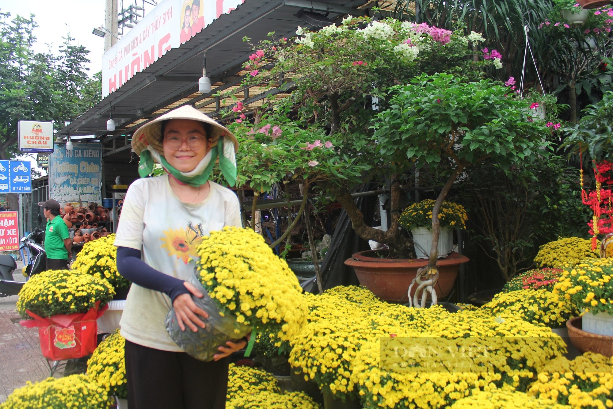 Hoa kiểng Tết bắt đầu xuống đường, người bán không dám nhập về nhiều vì sợ ế - Ảnh 2.