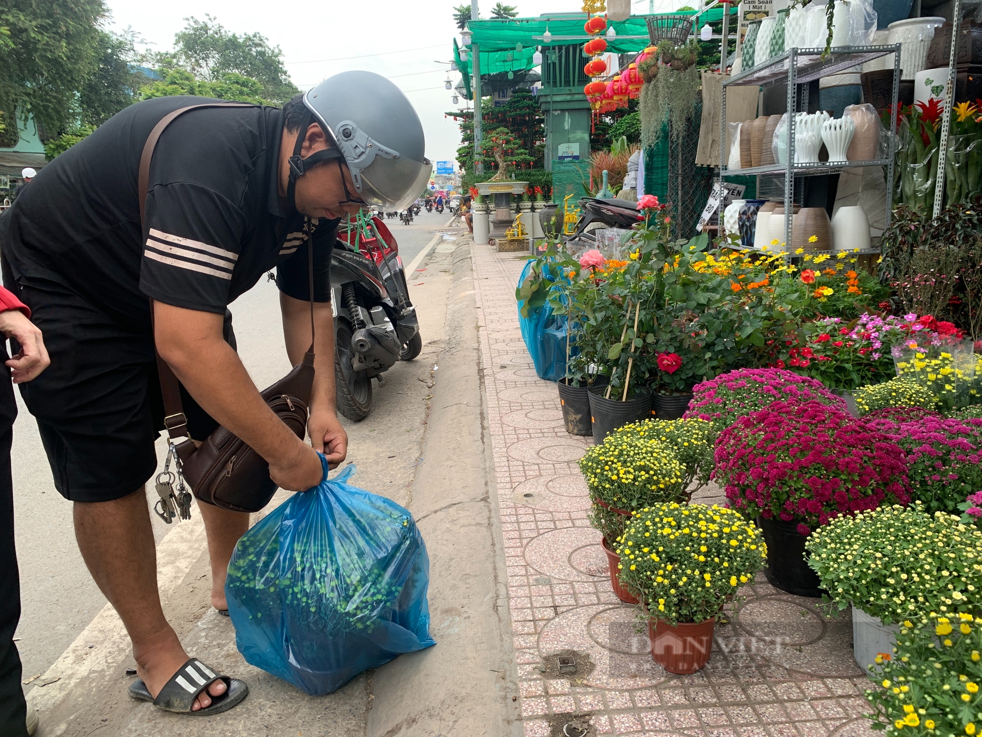 Hoa kiểng Tết bắt đầu xuống đường, người bán không dám nhập về nhiều vì sợ ế - Ảnh 3.