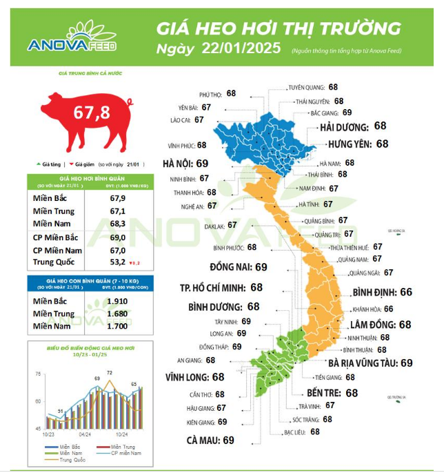 Giá lợn hơi tiếp tục hạ nhiệt và lùi xa khỏi mốc 70.000 đồng/kg - Ảnh 1.