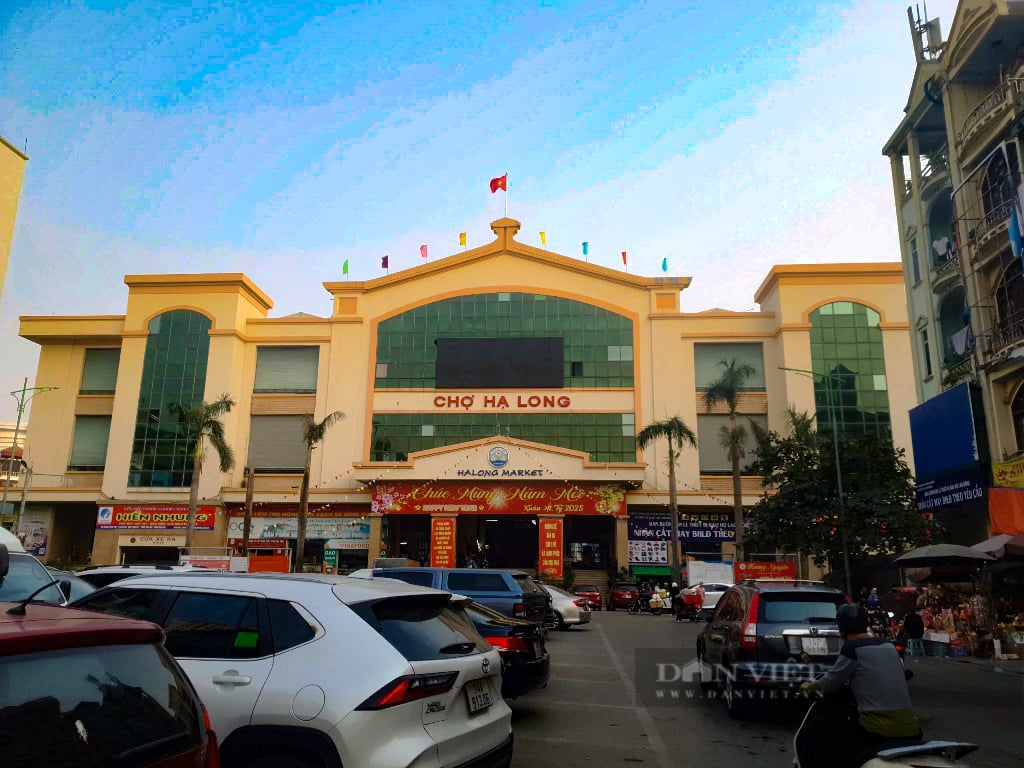 Quảng Ninh: Đi săn đặc sản giá rẻ bất ngờ tại chợ Hạ Long những ngày giáp tết - Ảnh 1.