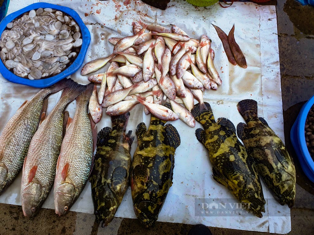Quảng Ninh: Đi săn đặc sản giá rẻ bất ngờ tại chợ Hạ Long những ngày giáp tết - Ảnh 10.