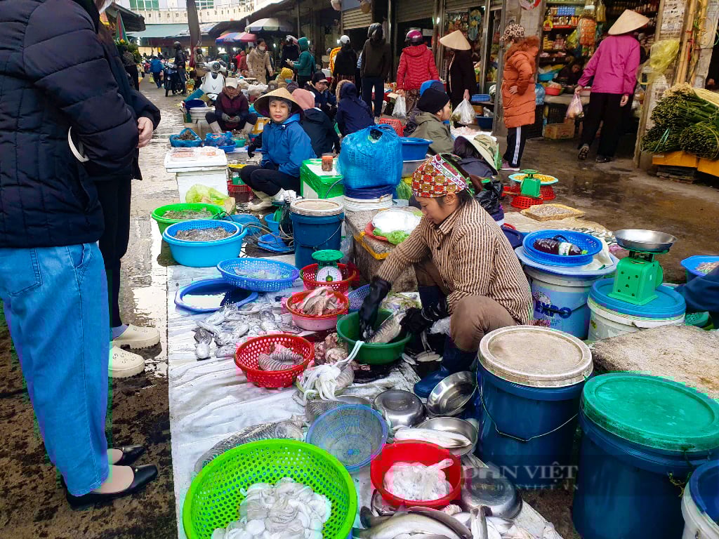 Quảng Ninh: Đi săn đặc sản giá rẻ bất ngờ tại chợ Hạ Long những ngày giáp tết - Ảnh 11.