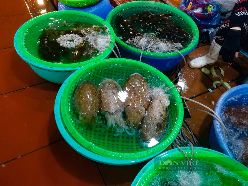Quảng Ninh: Đi săn đặc sản giá rẻ bất ngờ tại chợ Hạ Long những ngày giáp tết - Ảnh 5.