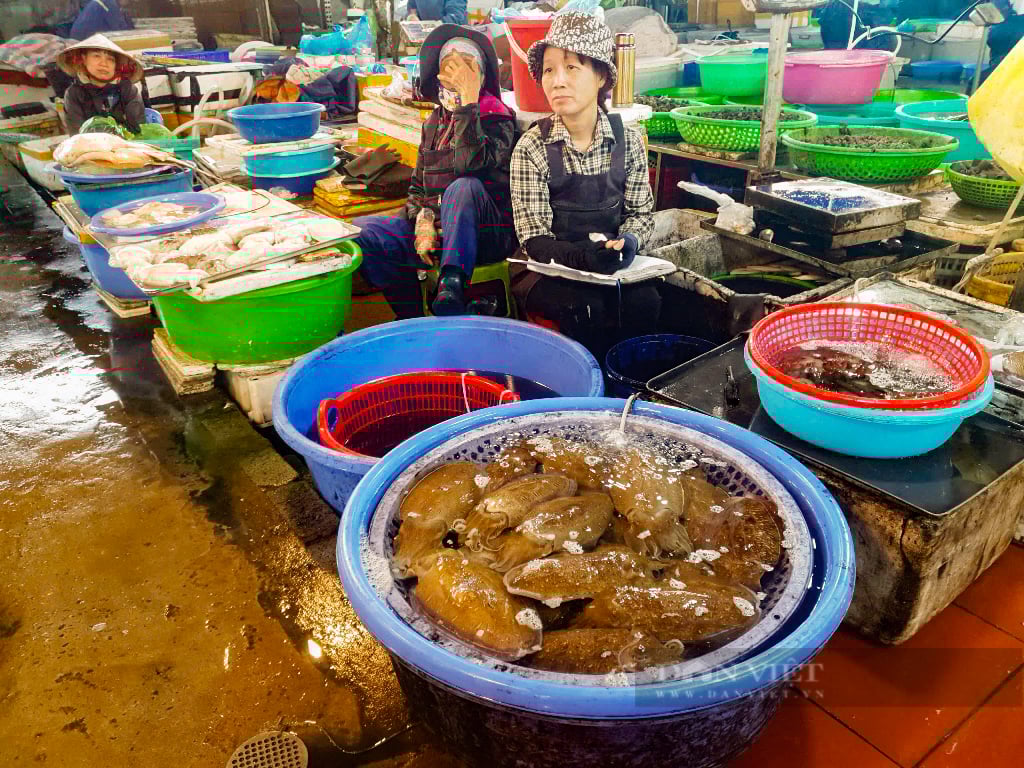 Quảng Ninh: Đi săn đặc sản giá rẻ bất ngờ tại chợ Hạ Long những ngày giáp tết - Ảnh 6.