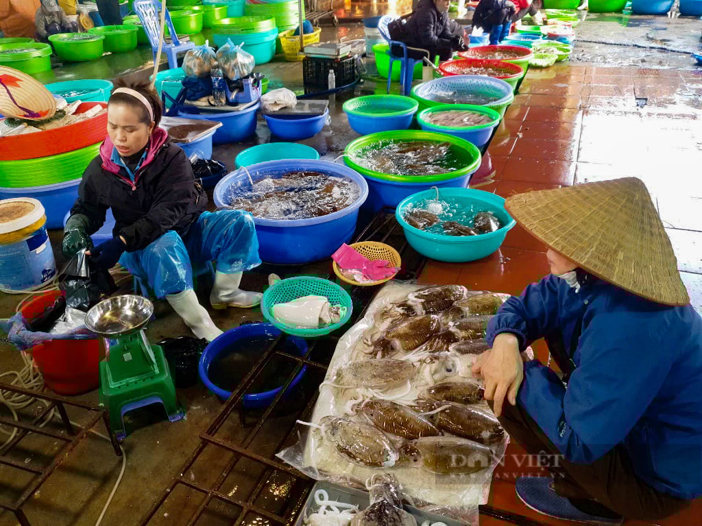 Quảng Ninh: Đi săn đặc sản giá rẻ bất ngờ tại chợ Hạ Long những ngày giáp tết - Ảnh 8.