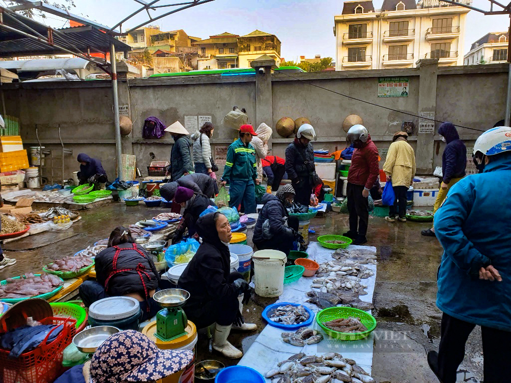 Quảng Ninh: Đi săn đặc sản giá rẻ bất ngờ tại chợ Hạ Long những ngày giáp tết - Ảnh 9.