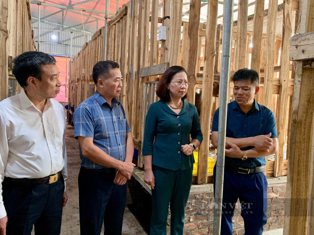 tat/Nuôi hươu lấy nhung, chi hội nông dân giúp nhau làm giàu - Ảnh 1.