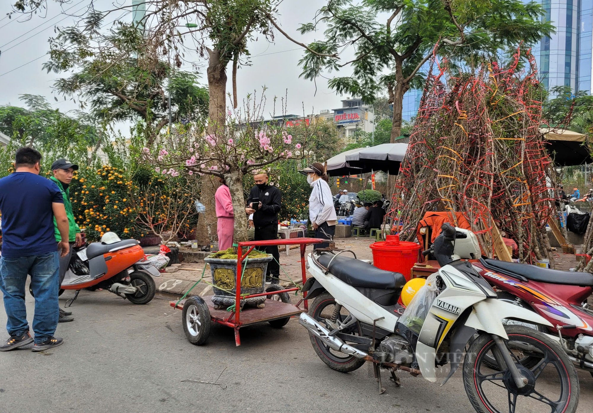 Người bán lan hồ điệp như ngồi trên "đống lửa": "Tết đến nơi rồi chẳng thấy khách đâu" - Ảnh 5.