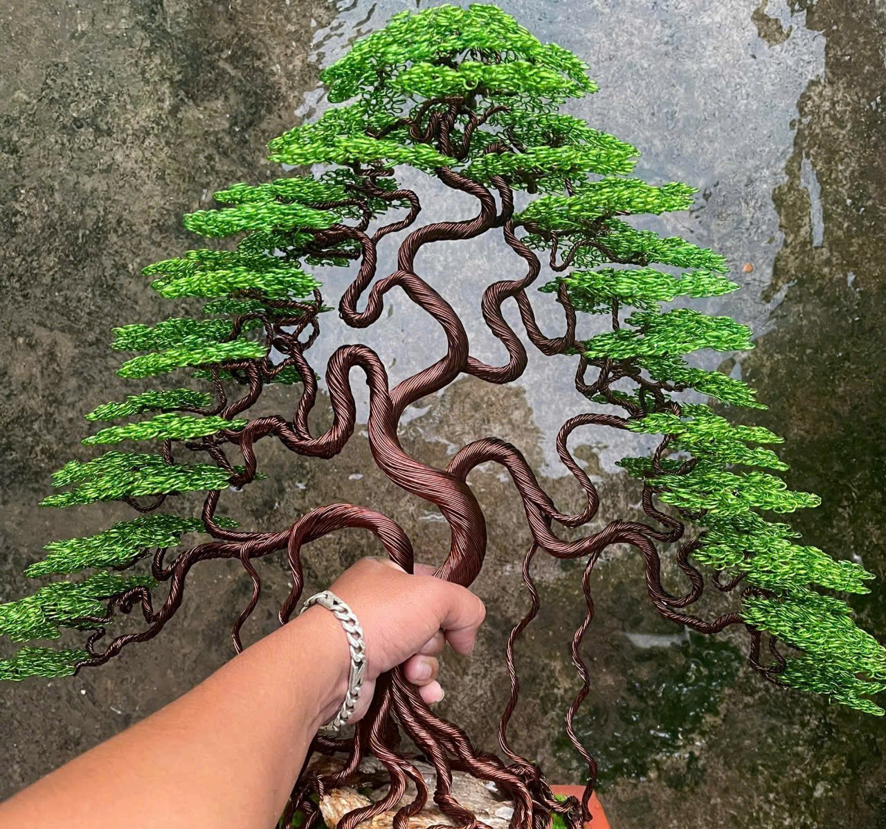 Bon sai kiểu độc lạ ở Khánh Hòa thu hút khách dịp Tết - Ảnh 4.