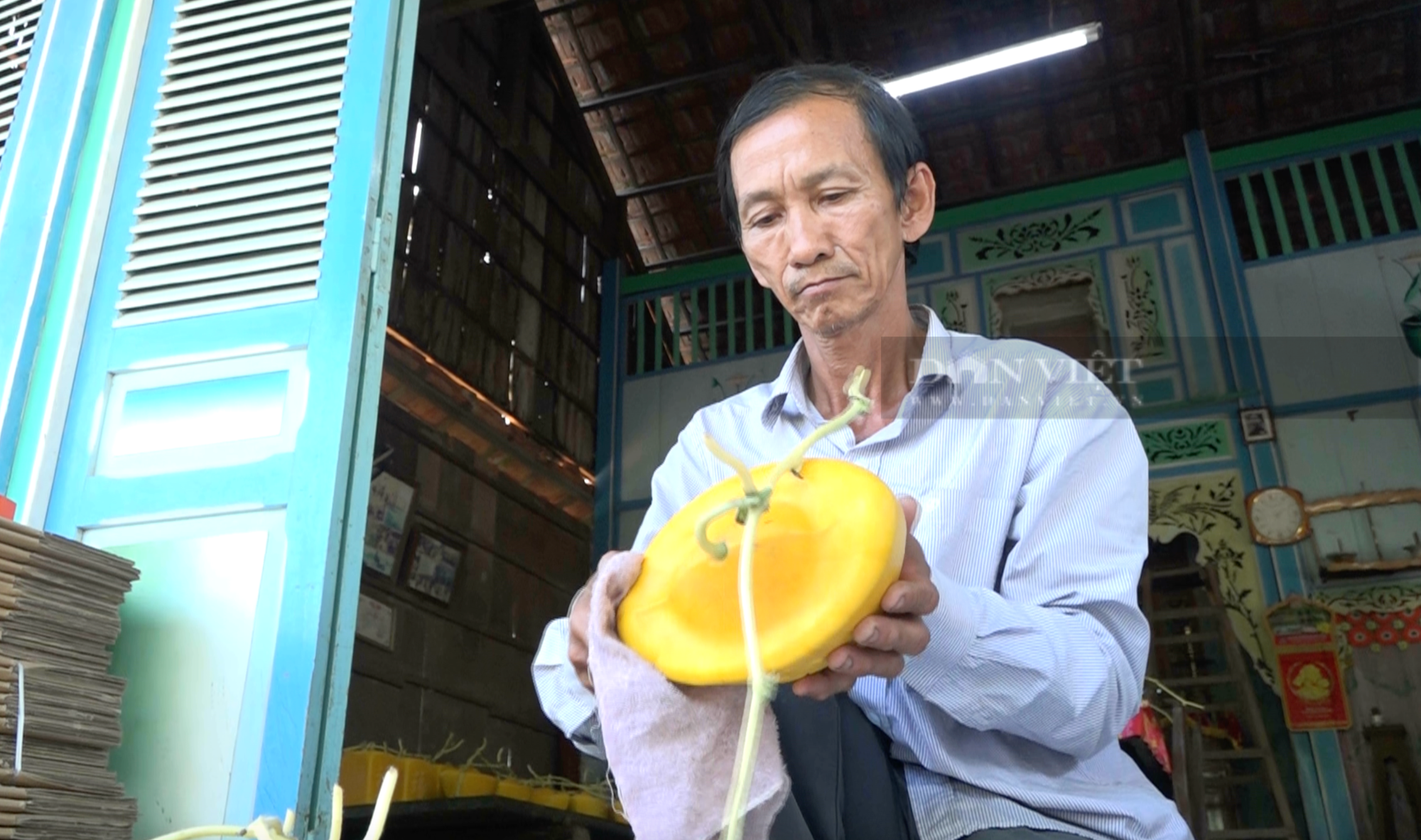 Lão nông ở miền Tây "nắn" trái dưa hấu thành nhiều hình dạng khác nhau, nhìn rất đẹp mắt - Ảnh 5.