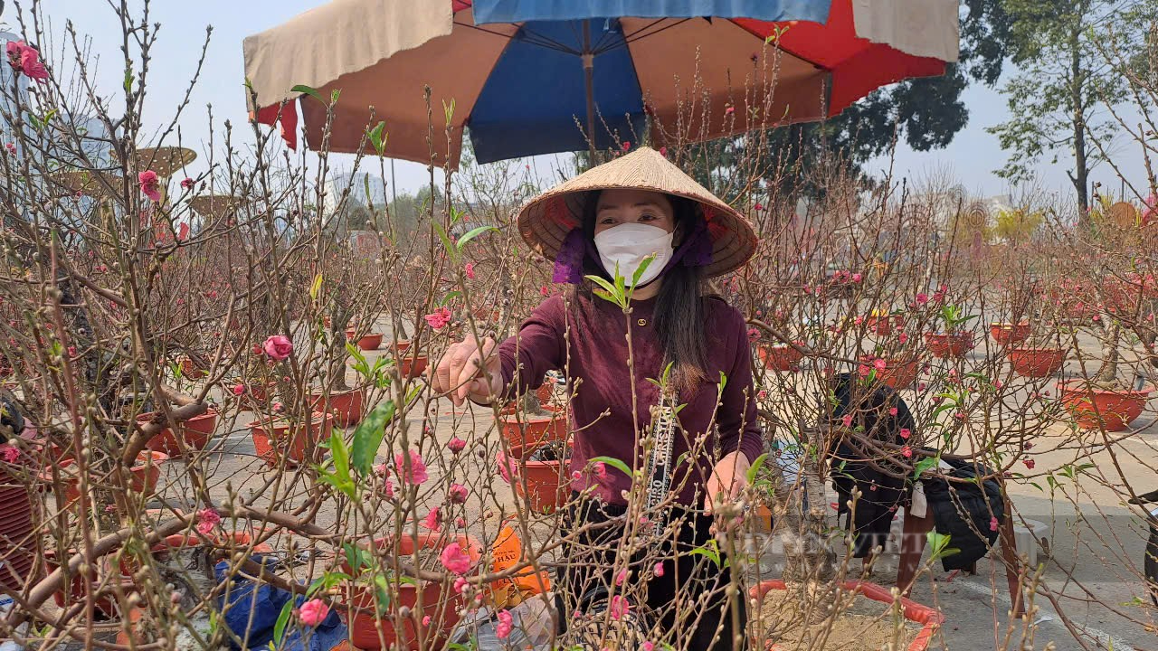 Thái Nguyên: Đìu hiu chợ hoa, cây cảnh ngày Tết, thương lái đợi dài vẫn vắng bóng người mua- Ảnh 5.
