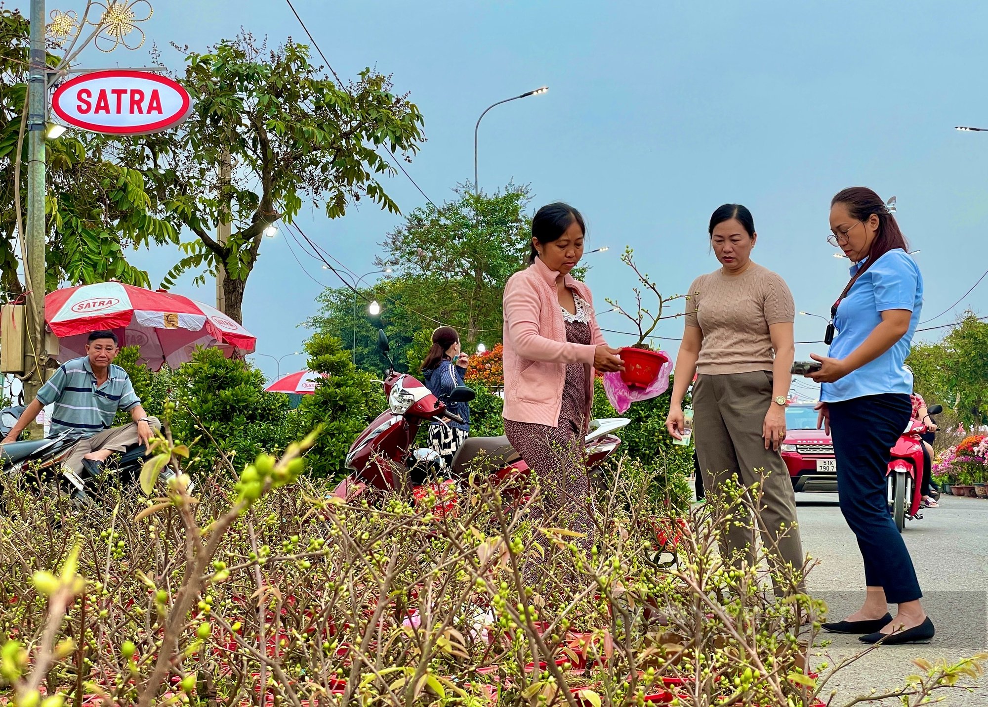 Chợ hoa có 1-0-2 ở Sài Gòn, nhà vườn bán rẻ rề, khách ôm cả xe về nhà chơi Tết - Ảnh 10.