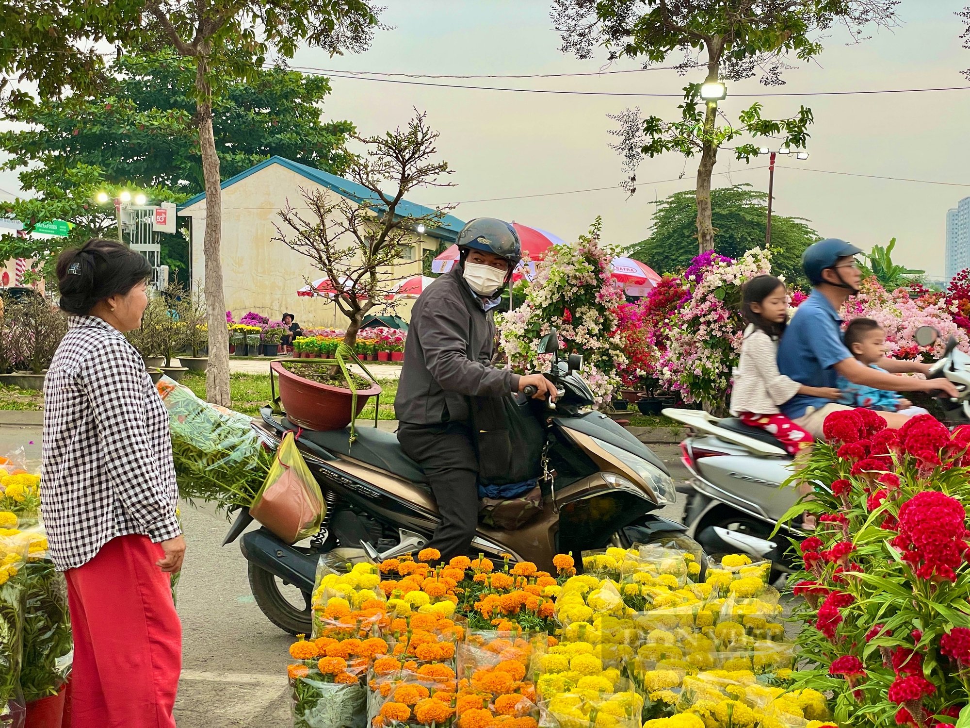 Chợ hoa có 1-0-2 ở Sài Gòn, nhà vườn bán rẻ rề, khách ôm cả xe về nhà chơi Tết - Ảnh 4.