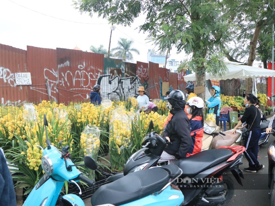 Chưa đến 29 Tết, nhiều tiểu thương đồng loạt "xả hàng" đào, quất đồng giá - Ảnh 6.