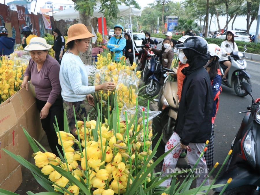 Chưa đến 29 Tết, nhiều tiểu thương đồng loạt "xả hàng" đào, quất đồng giá - Ảnh 7.
