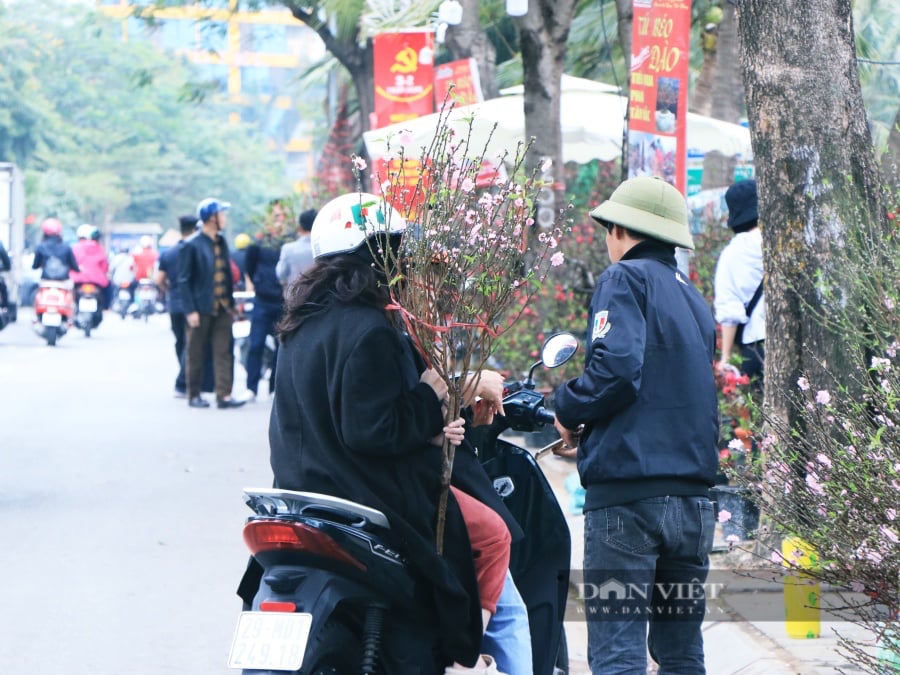 Chưa đến 29 Tết, nhiều tiểu thương đồng loạt "xả hàng" đào, quất đồng giá - Ảnh 4.
