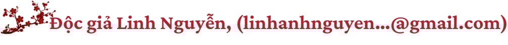 Lời chúc đầu Xuân: Ca sĩ Ngọc Anh gửi lời chúc tới người dân làng Tràng An- Ảnh 13.
