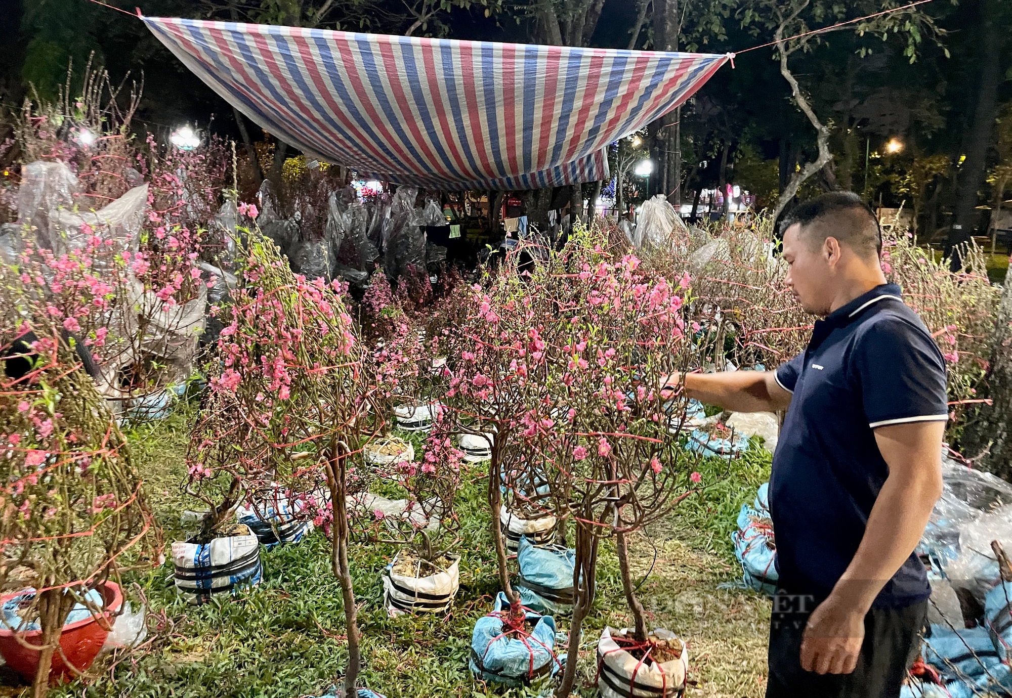 Diễn biến lạ chợ hoa Tết Sài Gòn: “Mong từng ngày để đi bán bông, giờ buồn quá” - Ảnh 3.