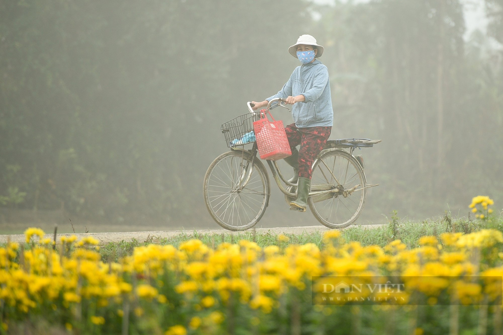 Rực sỡ sắc màu Tết ở làng hoa Phú Mậu, TP Huế- Ảnh 12.
