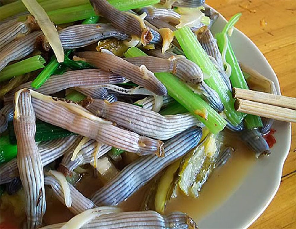Nằm sâu dưới cát biển Quảng Ninh, giá cao hơn cả giá vàng mười là con đặc sản gì mà lại đắt đỏ đến thế? - Ảnh 3.