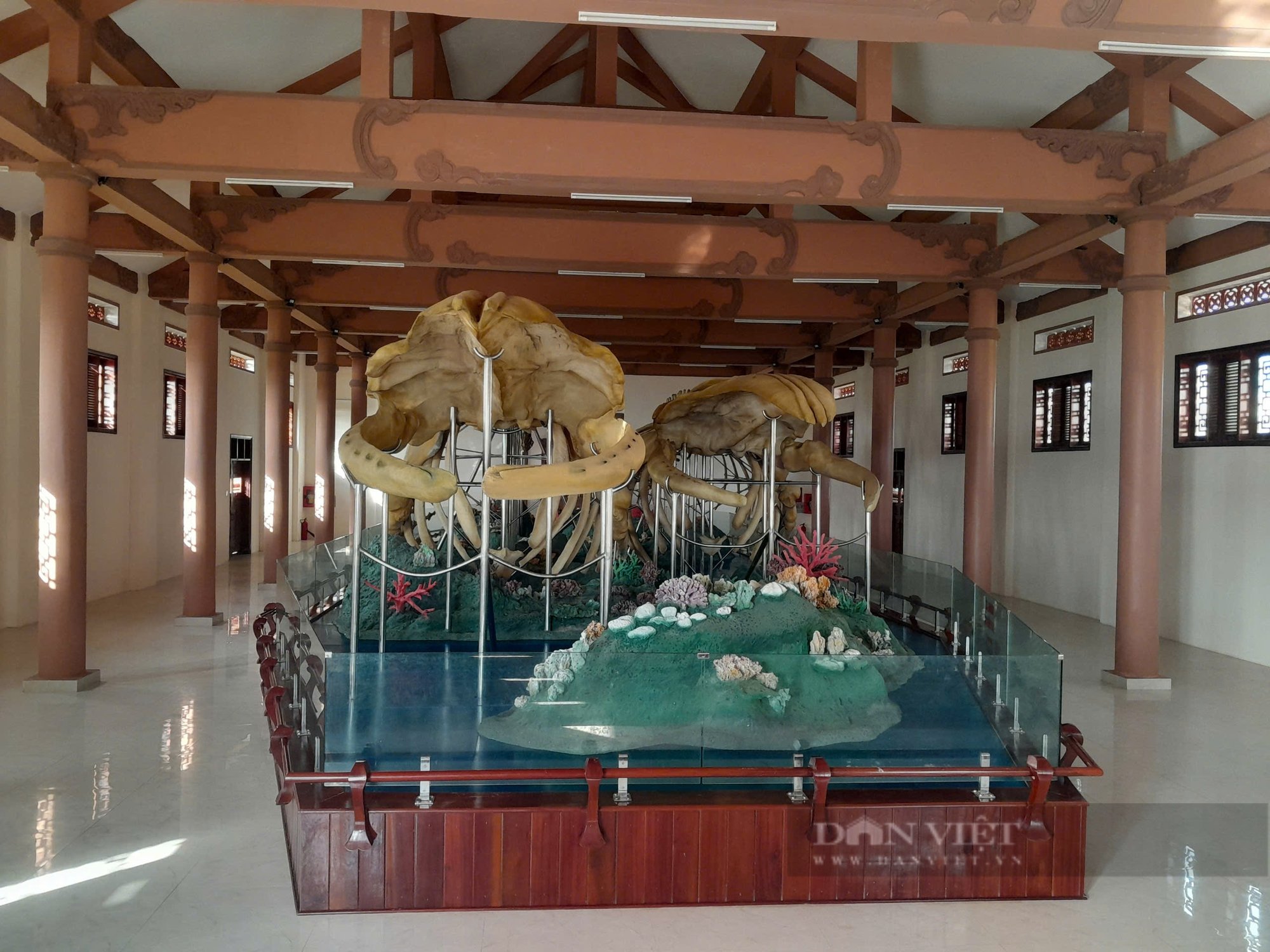 Hai bộ xương cá Ông lớn nhất Việt Nam nằm giữa hòn đảo cách đất liền 30km - Ảnh 1.