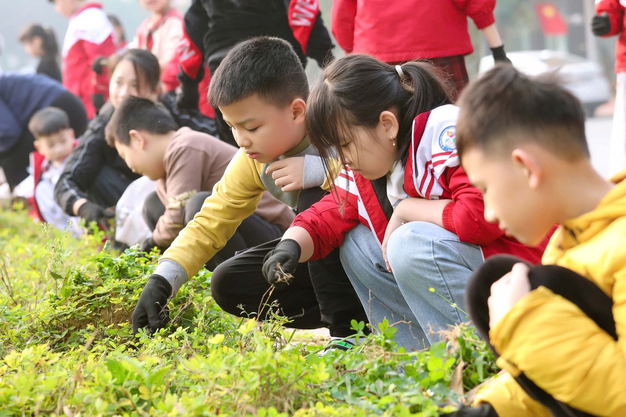 Học sinh Lào Cai trải nghiệm 'tiết học xanh'- Ảnh 5.