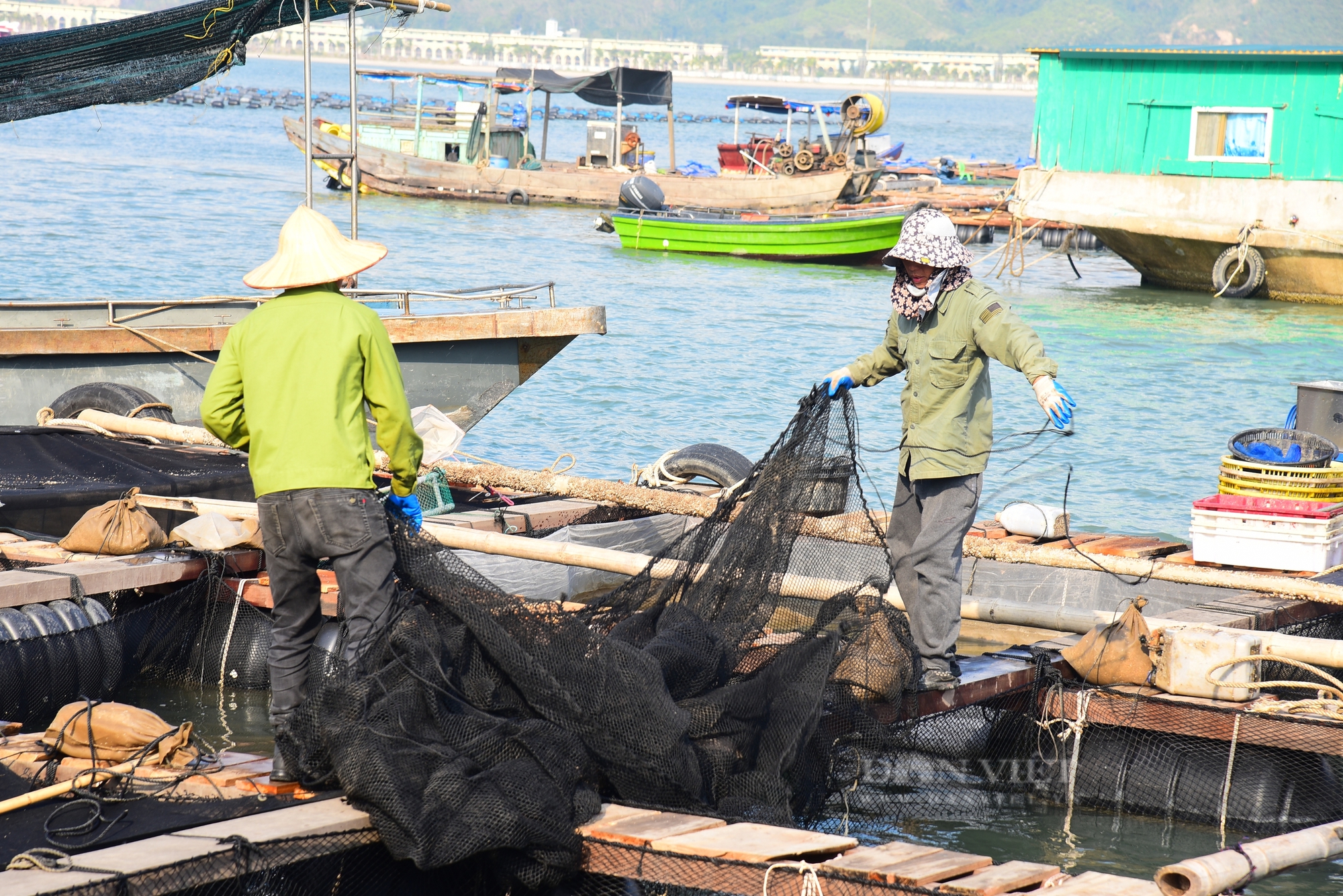 Sức sống mới ở Vân Đồn - Ảnh 6.