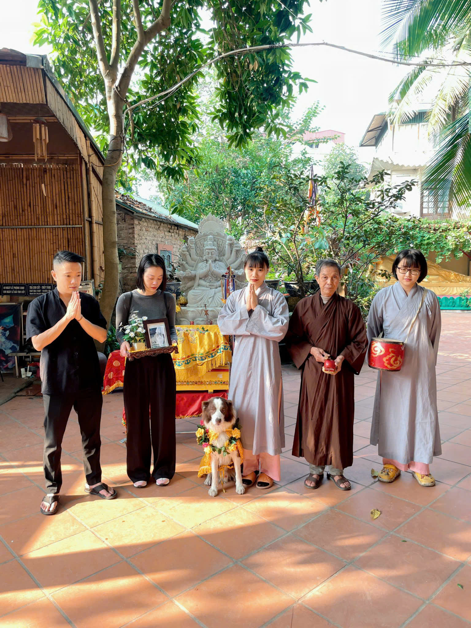 Chuyện chưa kể về chú chó già nhất nhì Việt Nam hiện nay, cả cuộc đời làm nhiệm vụ “đặc biệt” này- Ảnh 3.