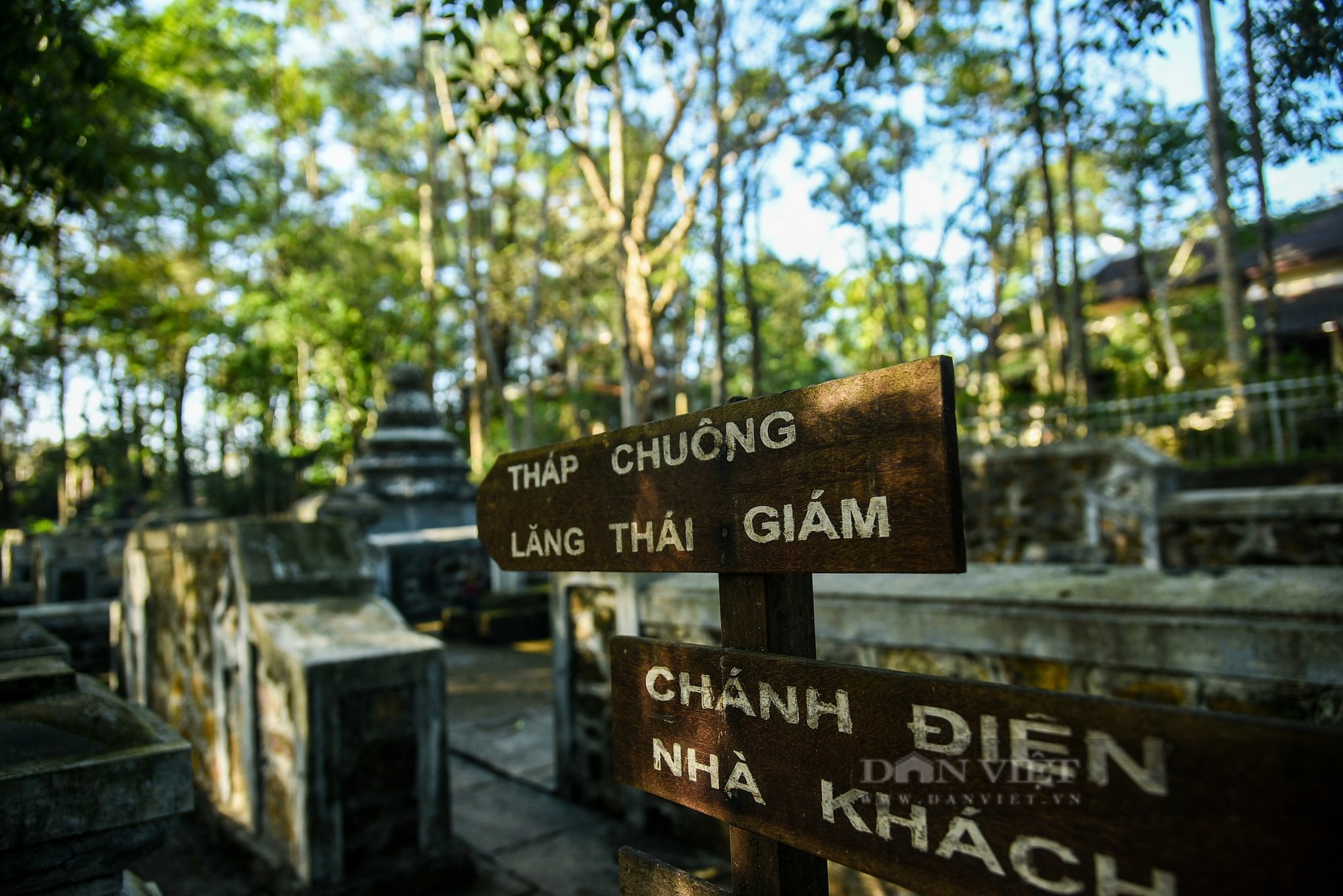 Nét đẹp ngày xuân ở ngôi chùa đặc biệt, nơi thiền sư Thích Nhất Hạnh thoát tục- Ảnh 9.