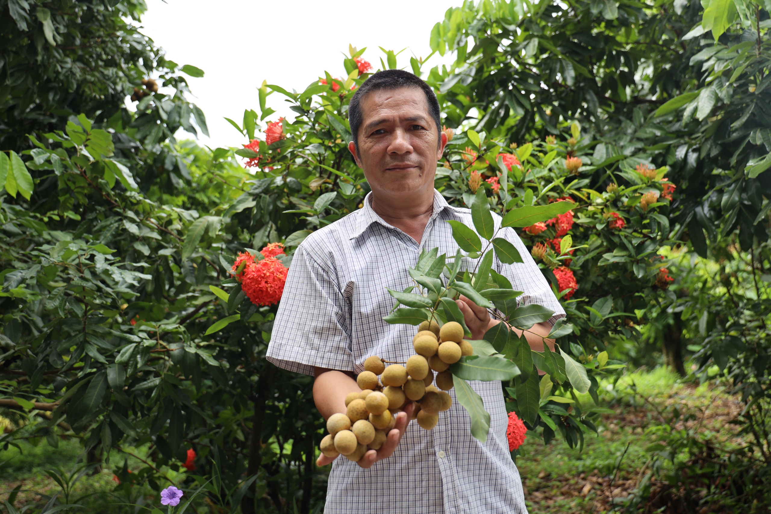 Phát triển kinh tế nông nghiệp, thay đổi bộ mặt nông thôn  - Ảnh 1.