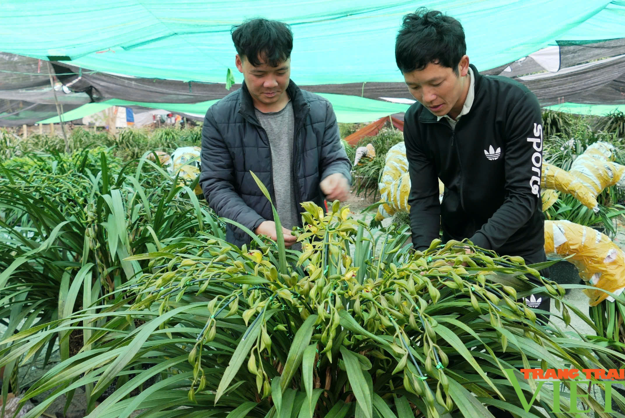 Xây dựng sản phẩm OCOP, giải pháp nâng tầm giá trị cho nông sản - Ảnh 1.