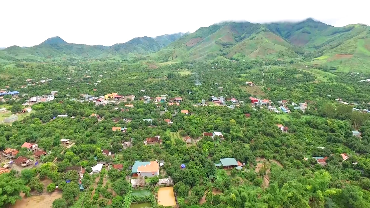 Phát triển kinh tế nông nghiệp, thay đổi bộ mặt nông thôn  - Ảnh 5.