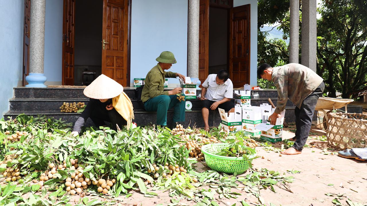 Phát triển kinh tế nông nghiệp, thay đổi bộ mặt nông thôn  - Ảnh 2.